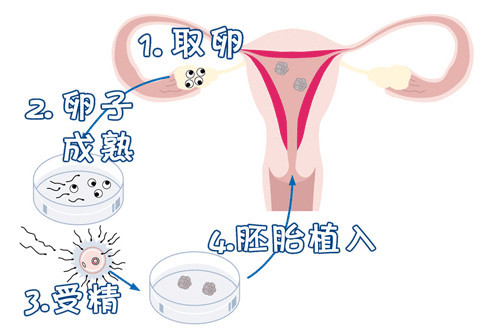 实验室 Fig.03